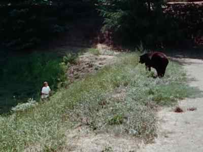 [bear growling] - Shazam!