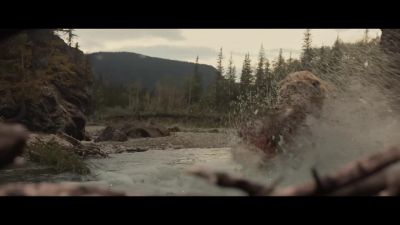 [bear growls] - Prey