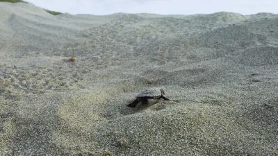 BEAR: Three days of digging - Hostile Planet