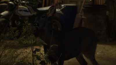 [Beau] I'll be damned. - The Ranch