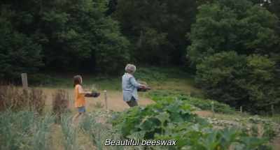 Beautiful beeswax - 20,000 Species of Bees