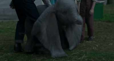 Beautiful creature, - Dumbo