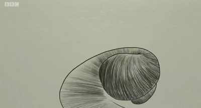 Beautiful crowds
of us scattering, - Ear for Eye