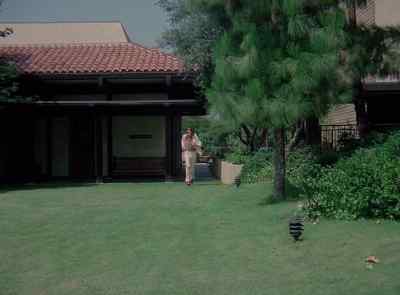 Beautiful, isn't it? - The Six Million Dollar Man