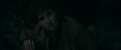 Beautiful. - Fantastic Beasts: The Secrets of Dumbledore