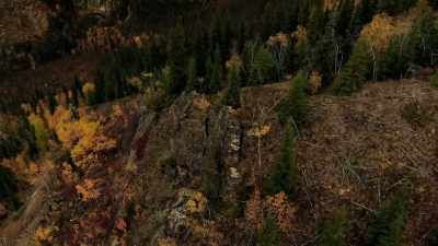 Beaver meat is a
very rich fatty meat, - Life Below Zero: Next Generation