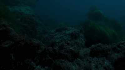 Because at night, - Blue Planet II