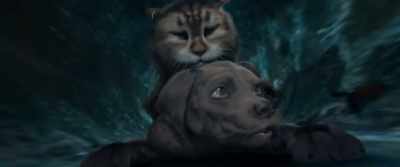 Because you barely use your ears, you
don't use your nose, and you're scared of - Cat and Dog