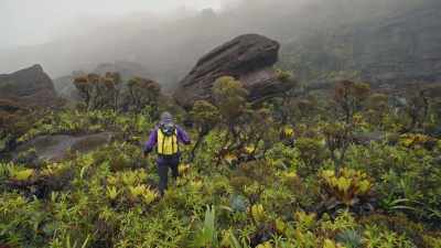 Because Bruce couldn't make it up,
it was our job on the summit - Explorer: The Last Tepui