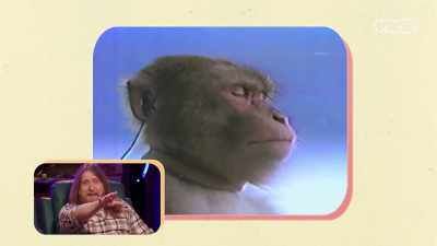Because that chimp
was standing like me - Super Maximum Retro Show