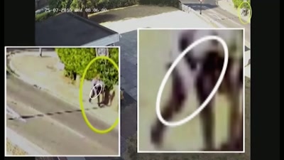 Because she didn't have a phone, - Killers: Caught on Camera