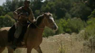 Because it enabled people
to control their horses - Origins: The Journey of Humankind