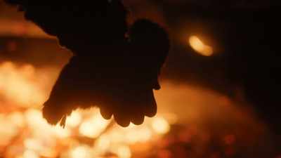 BECAUSE FIRE TRANSFORMED
HUMANITY AND HUMAN BEINGS IN - Origins: The Journey of Humankind