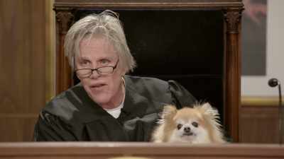 Because I can feel
all of that - Gary Busey: Pet Judge