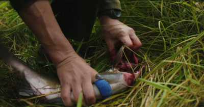 Because I do admit that I inherited
much of my perspective. - Stars in the Sky: A Hunting Story