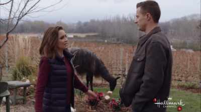 Because, I feel like,.
after the compatibility tests, - Valentine in the Vineyard