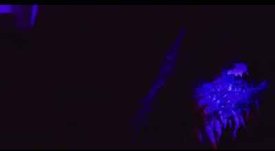 - Because I'm alive and I have a soul. - The Lonely Man with the Ghost Machine