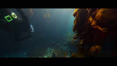 Because I'm lost to this. - Billy & Molly: An Otter Love Story