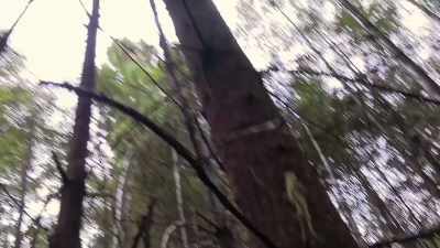 Because I'm not seeing
any other spots
where it's bent like that. - Expedition Bigfoot