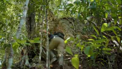 Because in all the Maya world, - Lost Treasures of the Maya