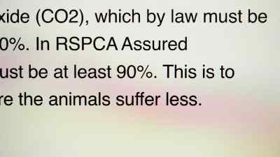 Because in their words it causes less suffering. - Pignorant