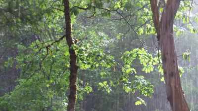 Because
it is more overcast here, - The Rainbow