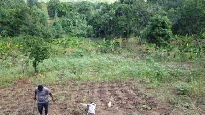 Because just like plants
need good soil to thrive, - Human: The World Within
