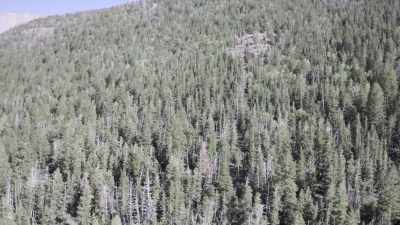 Because, to me, Gary's
more of a survivalist, - Horror in the High Desert
