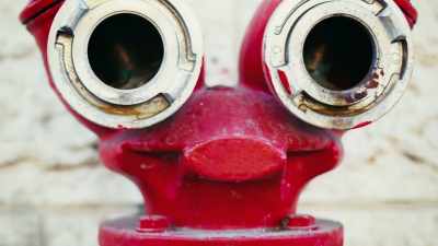 Because of that, we sometimes see
faces or distinct shapes - Secrets of the Underground