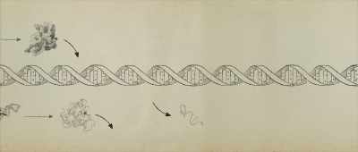 ... because this part off this part, - Is Genesis History?