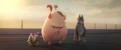 Because this pig right here - DC League of Super Pets