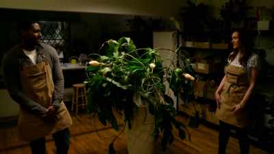 Because plants like
being taken care of. - When Love Blooms