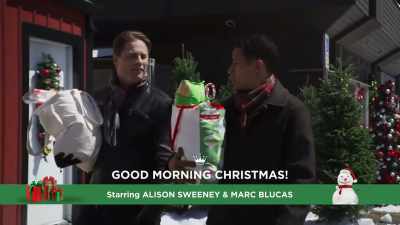 Because, pretty soon, - A Christmas Tree Grows in Colorado