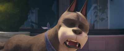 Because it sounded like
a super adorable nickname - DC League of Super Pets