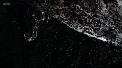 Because the cave is home
to 40,000 bats - The Human Body: Secrets of Your Life Revealed