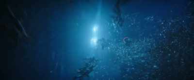 Because the portal that brought
you here won't let us return. - Aquaman