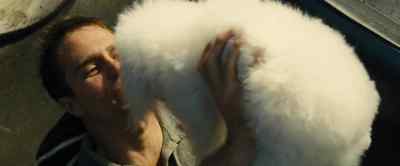 Because they've got a drinking problem too - Seven Psychopaths