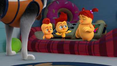 Because they wanted a groundhog
like him to dig a tunnel. - The Chicken Squad