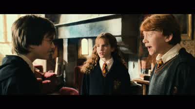 ...because we were looking for someone who... - Harry Potter and the Chamber of Secrets
