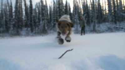 Because without having
warm clothing out here, - Life Below Zero: Next Generation