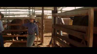 Become the boss? - Territory