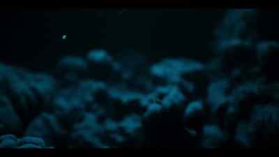 Becoming an easy target - Our Oceans