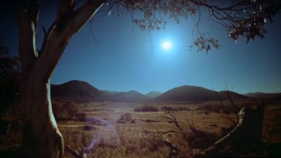 Becoming the starlit backdrop - Earth at Night in Color
