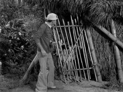 [bee buzzing] - Gilligan's Island