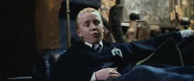 Bee in your bonnet Potter I was just wondering if you put me in the right house Yes You were particularly difficult to place But I stand by what I said last year You would have done well in Slytherin You're wrong - Harry Potter and the Chamber of Secrets