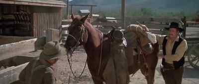 Been a long time
since you go on trail, captain. - The Last Hard Men