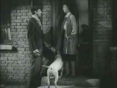 BEEN HOME LONG? - None But the Lonely Heart