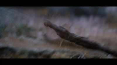 Been using it as a walking stick, - The Dark Crystal: Age of Resistance