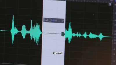 [ beep ] - The Holzer Files