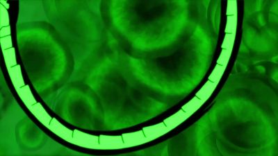 [ BEEP ] - Ben 10: Alien Force